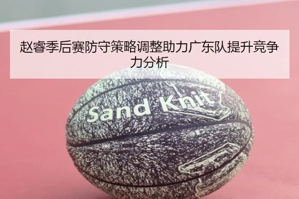 赵睿季后赛防守策略调整助力广东队提升竞争力分析