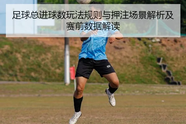 足球总进球数玩法规则与押注场景解析及赛前数据解读